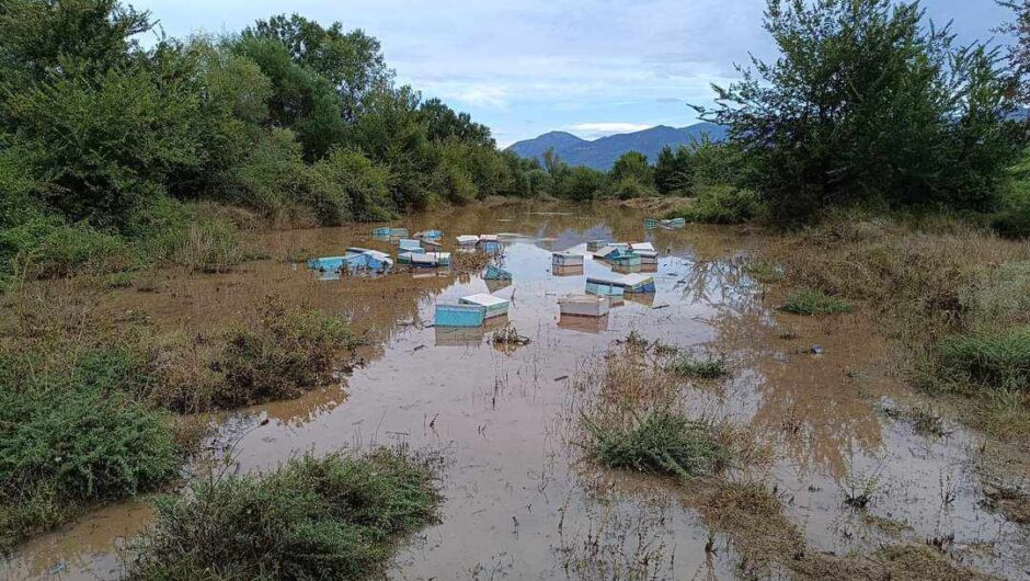 Μελισσοκομικός Σύλλογος Νομού Λάρισας – Larissa Beekeepers Association