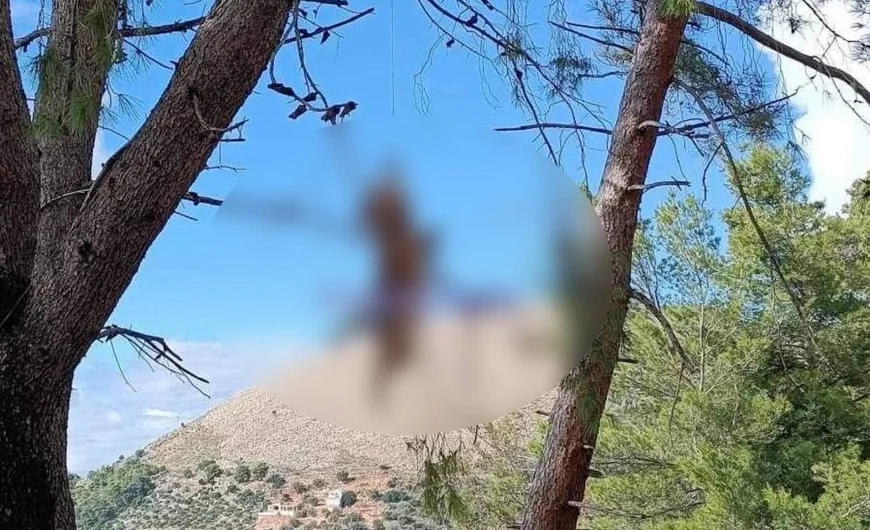 Κτηνωδία στην Κεφαλονιά: Σταύρωσαν και κρέμασαν αλεπού σε δέντρο