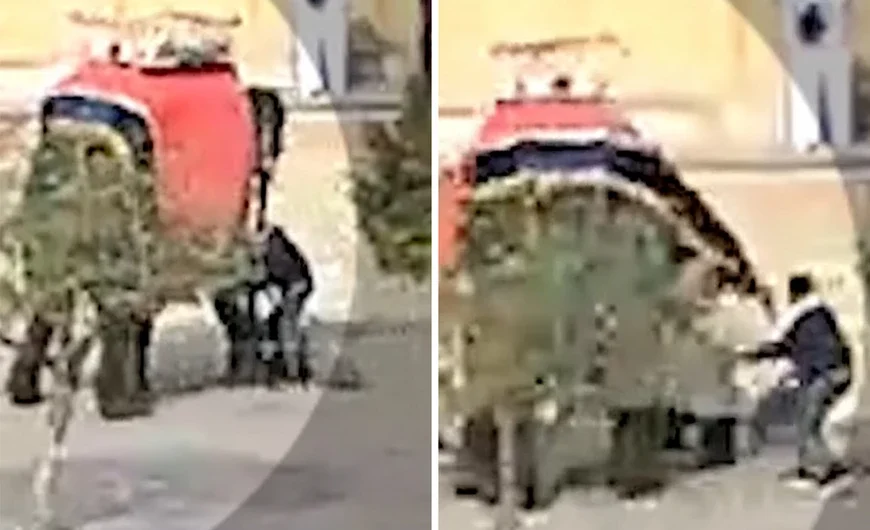 Ελέφαντας στριφογυρίζει στον αέρα τουρίστρια σαν κούκλα – Τρομακτικές εικόνες από δημοφιλές θέρετρο