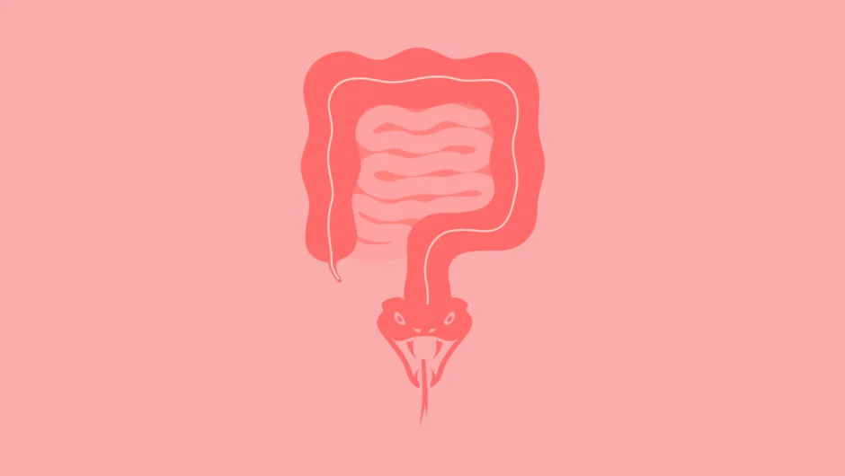 6 ΠΡΑΓΜΑΤΑ ΓΙΑ ΤΟ ΕΝΤΕΡΟ ΠΟΥ ΟΙ ΕΙΔΙΚΟΙ ΘΕΛΟΥΝ ΝΑ ΞΕΡΕΙΣ