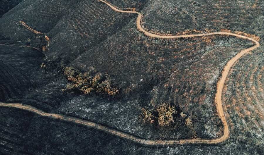 Έξι μήνες από την καταστροφική πυρκαγιά στον Έβρο: «Πονάει η ψυχή μας, τα χωριά μας έχουν ημερομηνία λήξης» 