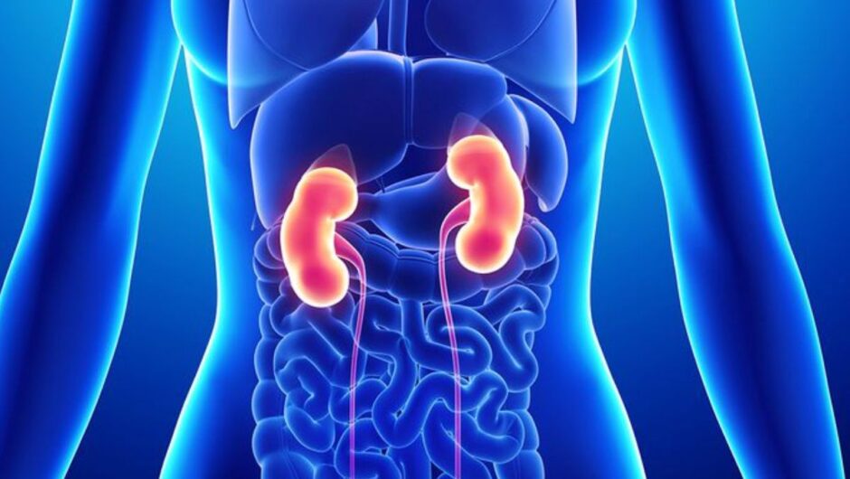 Αυτά είναι τα σημάδια που φανερώνουν ότι τα νεφρά σας δε λειτουργούν σωστά