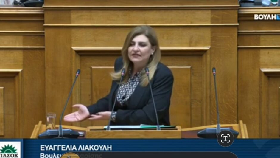 Ευ. Λιακούλη: «Κλιματική κατάρρευση, χωρίς εθνικό σχέδιο πολιτικής προστασίας!»