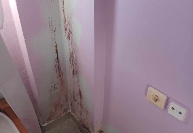 ΔΠΘ: Μούχλα, ποντίκια και εστιακοί φοιτητές… νομάδες μεταξύ κτιρίων