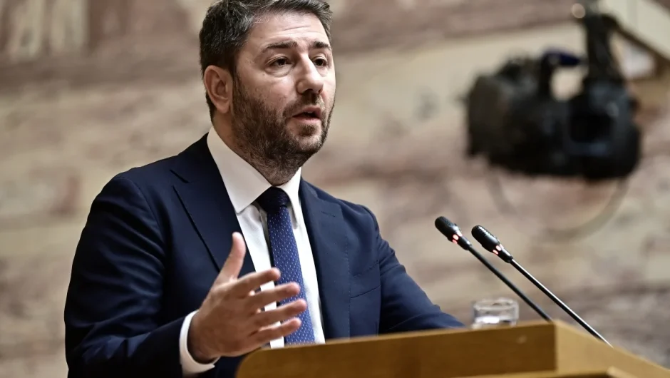 Νίκος Ανδρουλάκης: Ανεμοδούρα