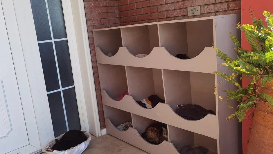 Όμορφη πρωτοβουλία του δημάρχου Δυτικής Λέσβου για τα αδέσποτα γατάκια: Έχτισε πολ…catοικία στην είσοδο της οικίας του