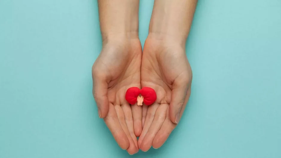 Με προβλήματα στους νεφρούς το 10% του πληθυσμού – 12.000 σε εξωνεφρική κάθαρση και 3.000 οι μεταμοσχευμένοι