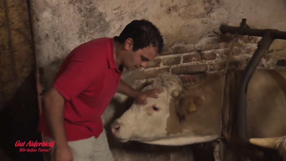 Ο Μπουλ είναι φυλακισμένος όλη του τη ζωή – η στιγμή που αφήνεται ελεύθερος είναι όμορφη να τον δεις