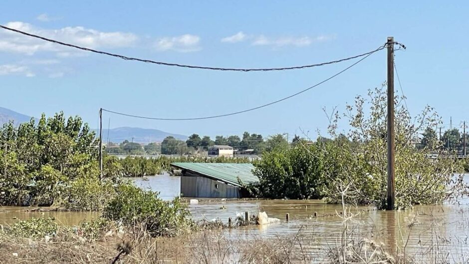 Χάος με τις αποζημιώσεις από τον Daniel – Απλήρωτοι και εγκαταλελειμμένοι οι παραγωγοί (φωτ.)