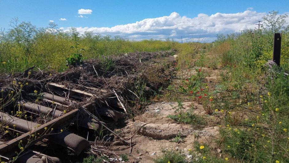 Δείτε φωτογραφίες: Απελπιστική η κατάσταση της σιδηροδρομικής γραμμής Λάρισας – Βόλου οκτώ μήνες μετά τις πλημμύρες