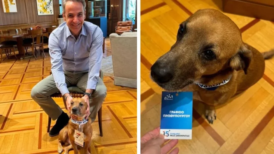 O Πίνατ πήρε διαπίστευση για το συνέδριο της ΝΔ (φωτογραφίες)