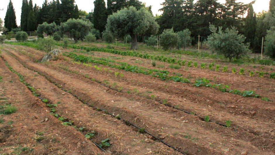 Φωτοβολταϊκά στο χωράφι: Μέχρι πότε μπορείτε να υποβάλετε αίτηση