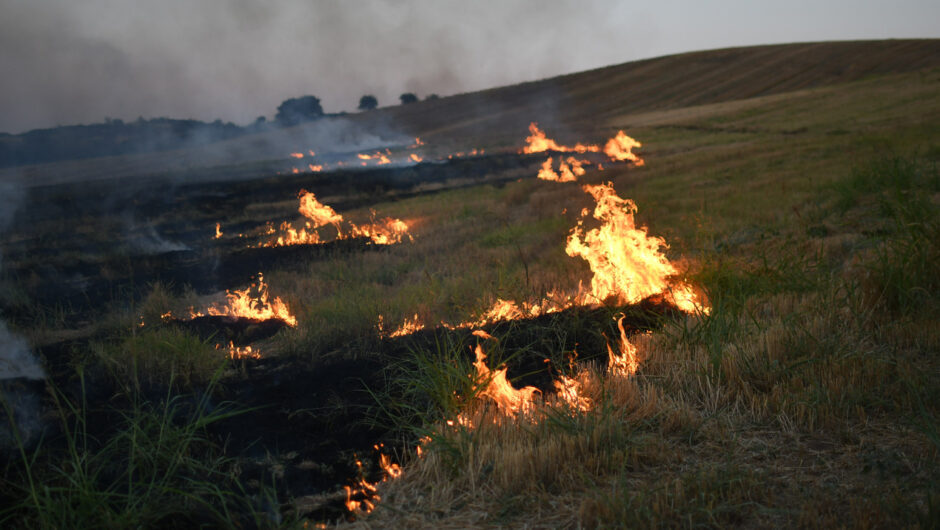 «Καμπάνα» γιατί έκαιγε ξερά χόρτα σε περιοχή του Δήμου Αγιάς