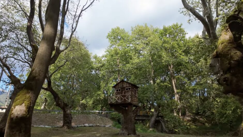 Αυτό είναι το πανέμορφο πλατανόδασος σε χωριό της Λάρισας που ελάχιστοι γνωρίζουν – Σαν βγαλμένο από παραμύθι… (βίντεο)