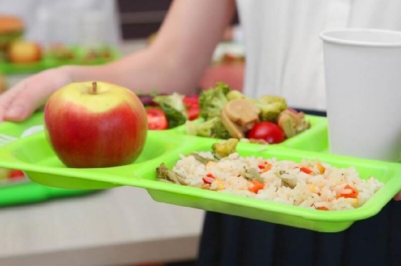 Σχολικά Γεύματα: Νέες καταγγελίες από γονείς, «βρήκαμε κατσαρίδα στο σάντουιτς»