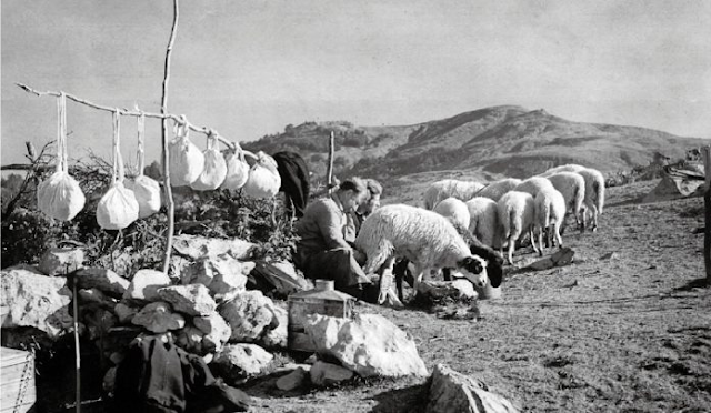 Κι όμως βρήκαμε αγνή φέτα Π.Ο.Π με 6,28 ευρώ/κιλό-Διαψεύδουμε τους συκοφάντες