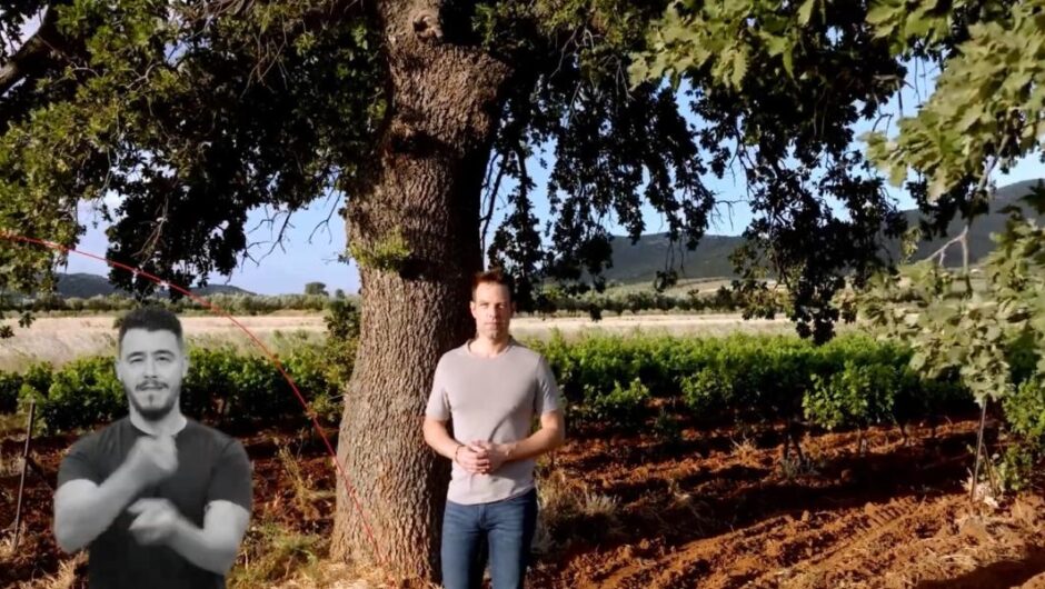 Ευρωεκλογές 2024 / Το νέο σποτ του ΣΥΡΙΖΑ – «Βάλαμε τον σπόρο, τώρα σε χρειαζόμαστε στην κάλπη»