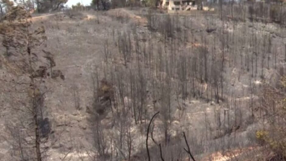 Ακαθάριστα οικόπεδα: Τι πρέπει να κάνετε για να μην πληρώσετε πρόστιμα έως και 54.000 ευρώ