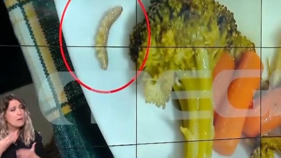 Δηλητηρίαση μαθητών – Λαμία / Σκουλήκια και πούπουλα στις μερίδες των μαθητών – Τι καταγγέλλουν γονείς