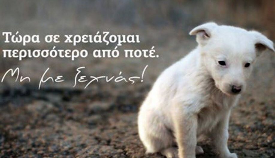 Μην τα ξεχνάτε