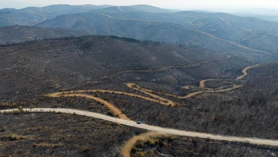 Πυρκαγιές / Στην επιφάνεια οι παθογένειες της δασοπυρόσβεσης επί Μητσοτάκη – Αποκαλυπτική μελέτη