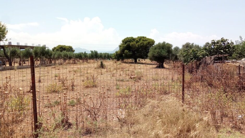 Ακαθάριστα οικόπεδα: Όσα πρέπει να γνωρίζετε για τις δηλώσεις και τα πρόστιμα