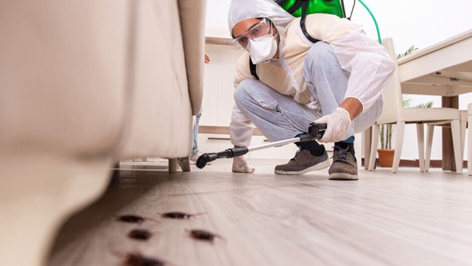 Επιδρομή ιπτάμενων κατσαρίδων στη Λάρισα – “Έσπασαν” τα τηλέφωνα – Ο λόγος που αυξήθηκε κι άλλο φέτος ο πληθυσμός τους