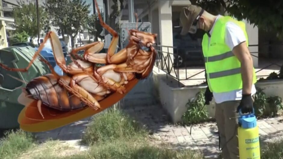 Από κατσαρίδες «Σβαρτσενέγκερ» κατακλύστηκε η Λάρισα – Τί λέει ο αντιπρόεδρος της ΔΕΥΑΛ για το φετινό έντονο φαινόμενο