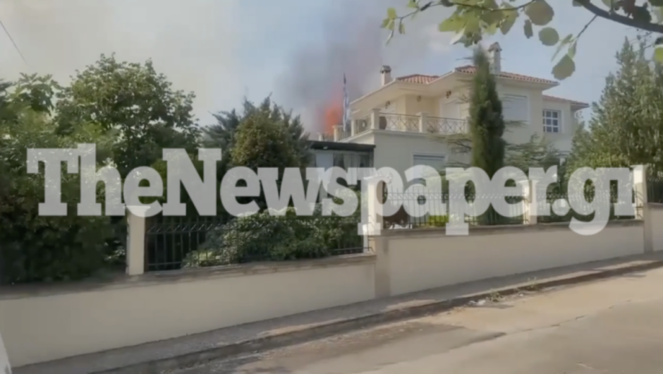 Φωτιά στον Βόλο: Μπήκαν σε σπίτι οι φλόγες (βίντεο)