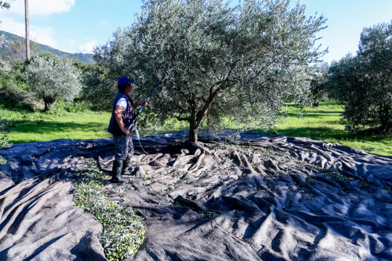 Πολιτικές και προτεραιότητες στον αγροτικό τομέα της ΕΕ – Τα σημαντικά σημεία για την Ελλάδα