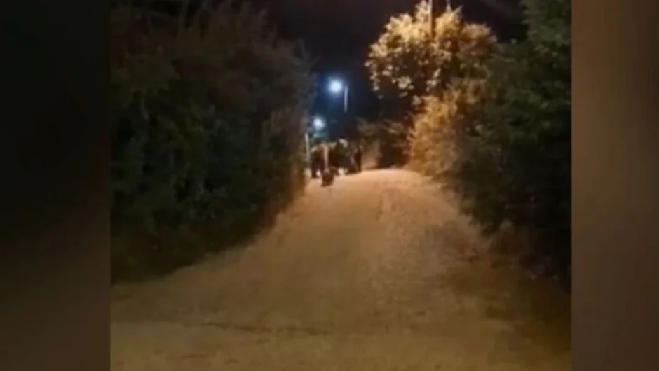 Αρκούδες με τα μωρά τους πιάστηκαν να κάνουν βόλτες και να αναζητούν φαγητό σε χωριά γύρω από την Καρδίτσα