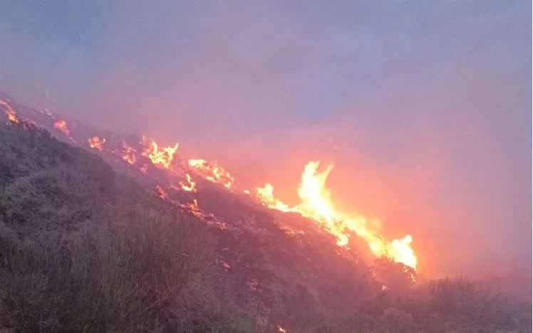 Σε ποιες περιοχές είναι υψηλός ο κίνδυνος για πυρκαγιά – Ο χάρτης για σήμερα