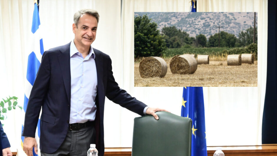 Όχι άλλο σανό…