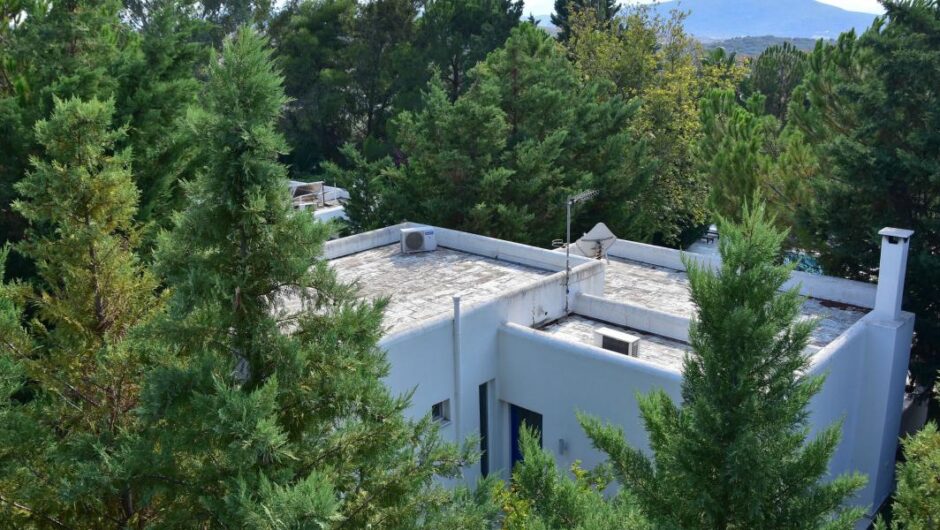 ΣΥΡΙΖΑ για κανονισμό πυροπροστασίας / Εισπράττουν δισ. για την αντιπυρική προστασία και φορτώνουν τα βάρη στους πολίτες