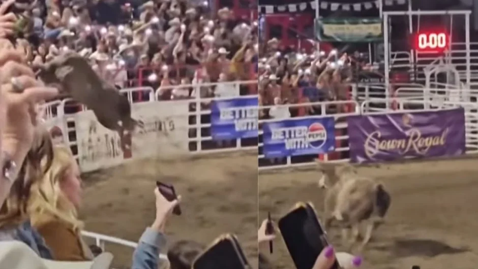 Τρομακτικό βίντεο: Ταύρος το σκάει από την αρένα και προσγειώνεται σε θεατές