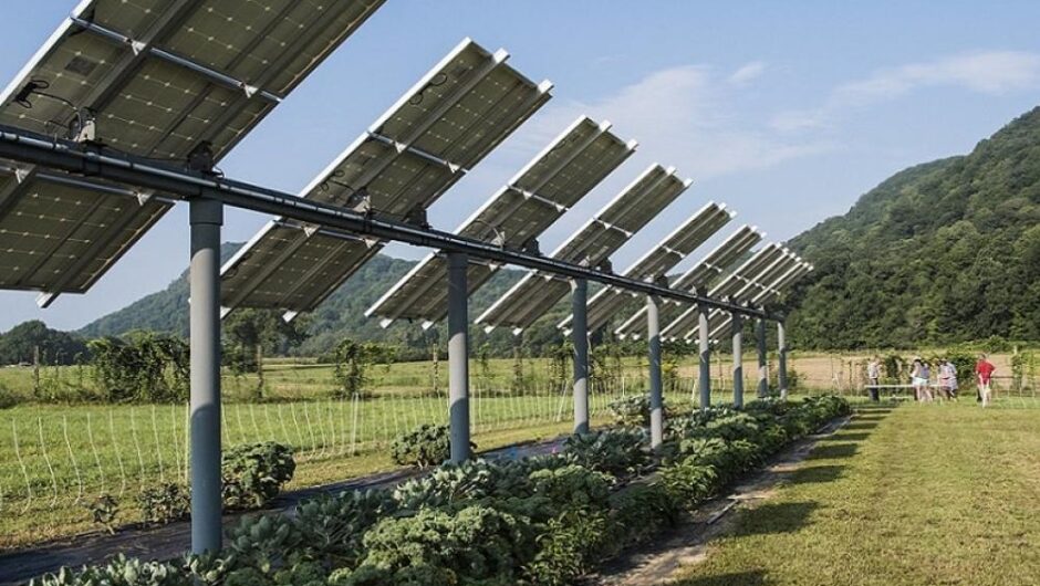 Έρχεται μεγάλη πείνα-Εμείς γεμίζουμε τα χωράφια μας ανεξέλεγκτα με φωτοβολταϊκά ενώ η Μελόνι τα απαγόρευσε στις καλλιέργειες