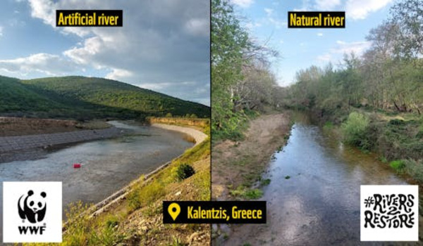 Νέα Έκθεση του WWF “Rivers2Restore”: Οι προτάσεις για τον ποταμό Καλέντζη της Θεσσαλίας