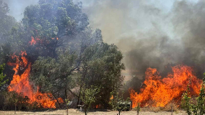 Η Πυροσβεστική για τη σύλληψη πρώην εποχικού δασοπυροσβέστη για πυρκαγιές στη Λάρισα