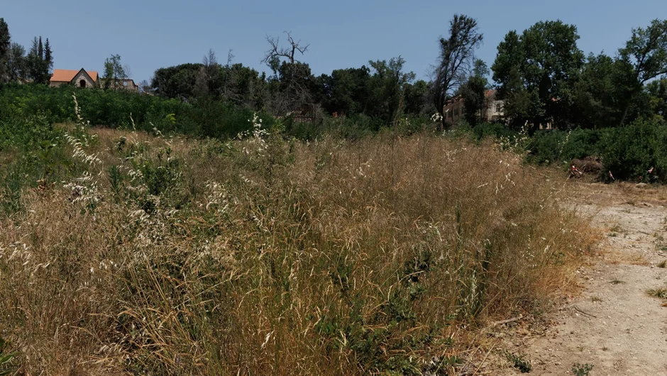 Ακαθάριστα οικόπεδα: Τέλος χρόνου για την υποβολή δηλώσεων – Υψηλά πρόστιμα για όσους δεν την κάνουν