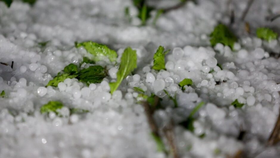 Πρέσπες / Χαλαζόπτωση προκάλεσε μεγάλες καταστροφές στις καλλιέργειες φασολιών