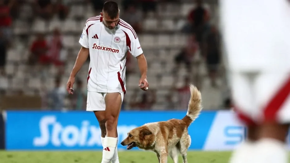 Βόλος – Ολυμπιακός: Σκύλος «εισέβαλε» στον αγωνιστικό χώρο και αποθεώθηκε – Δείτε βίντεο και φωτογραφίες