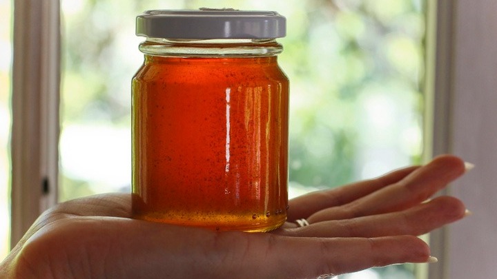 Μειωμένη έως και 90% η παραγωγή μελιού- Σε απόγνωση οι μελισσοπαραγωγοί