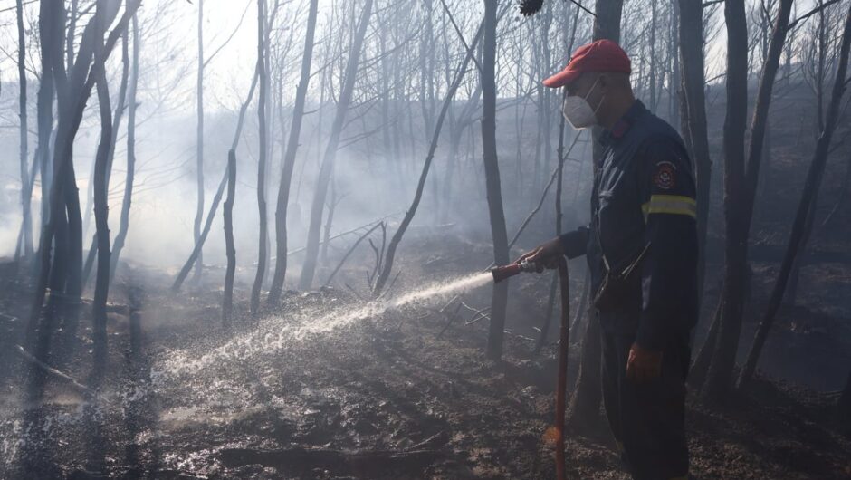 Συγκλονίζει δορυφορική εικόνα της φωτιάς στην Αττική: Στάχτη πάνω από 100.000 στρέμματα