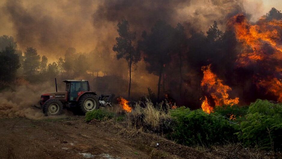 Φωτιές στην Εύβοια / 9.500 στρέμματα κάηκαν στον Πισσώνα – 7.844 στις Πετριές εκ των οποίων τα μισά ήταν δάσος
