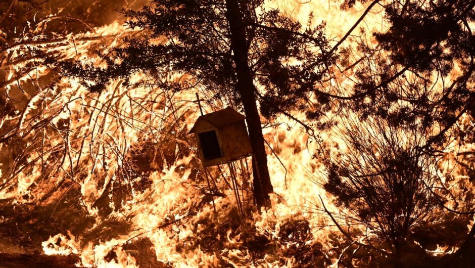 Φωτιά στον Βαρνάβα / Εκτός ελέγχου – Εκκενώνονται Γραμματικό, Σταμάτα, Ροδόπολη, Αμυγδαλέζα