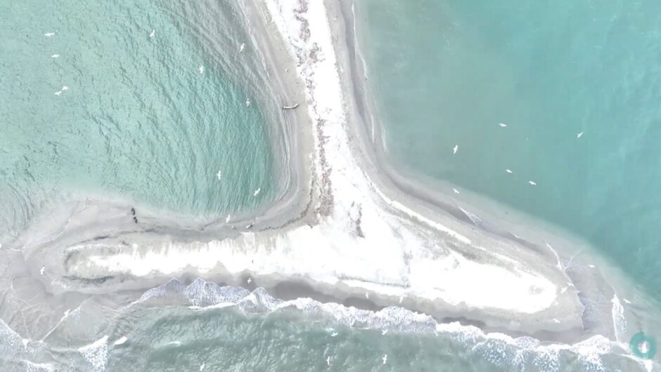 «Μαγική εικόνα» η τεράστια ουρά της Φάλαινας στα παράλια της Λάρισας – Φανταστικό θέαμα από ψηλά (βίντεο)