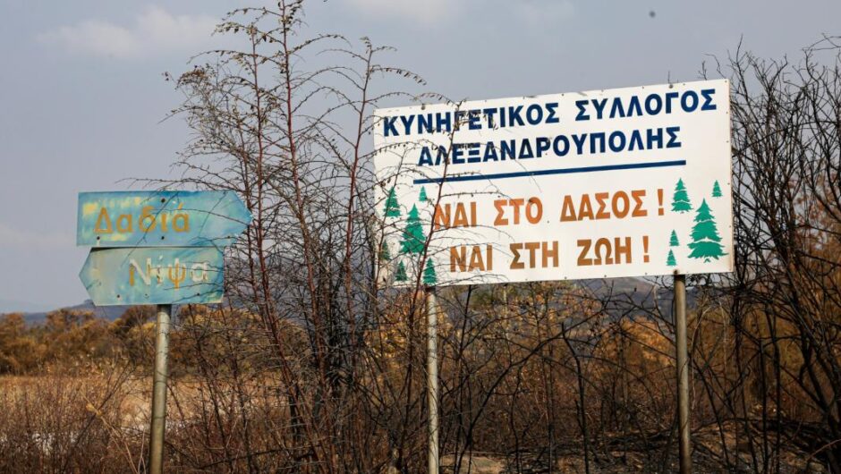 Έβρος / Φυτεύουν ανεμογεννήτριες έναν χρόνο μετά τη φωτιά