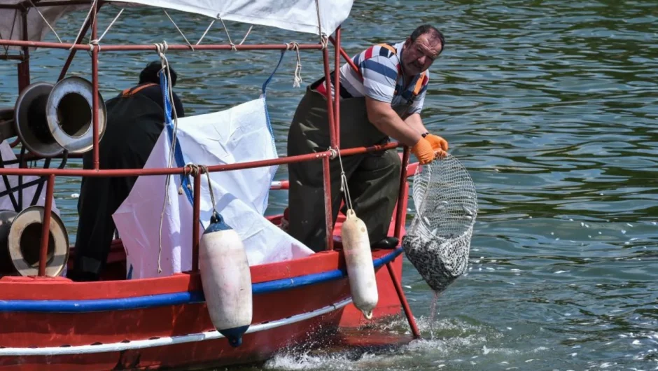 Νεκρά ψάρια στον Παγασητικό: Επιτρέπεται και πάλι η κολύμβηση στις ακτές του Βόλου – Πεντακάθαρα νερά έδειξαν οι αναλύσεις