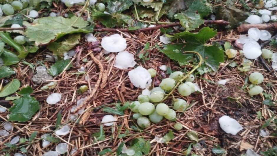 Ελασσόνα: Ισχυρή χαλαζόπτωση κατέστρεψε καλλιέργειες