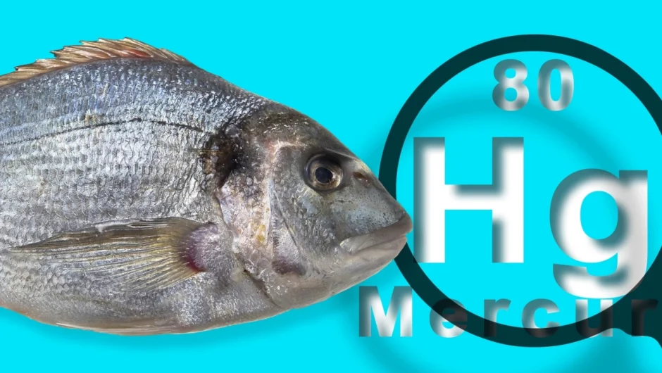 Δηλητηρίαση από υδράργυρο: Όσα πρέπει να γνωρίζετε